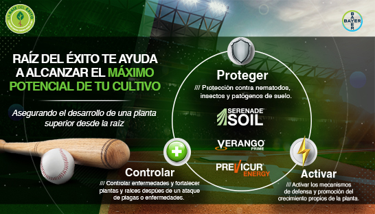 Raíz Del Éxito Es La Solución Integral De Bayer® | Mi Cultivo Con Bayer